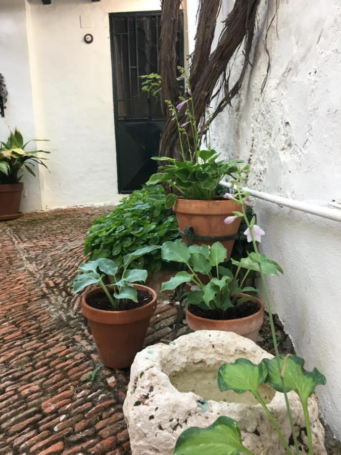 Casa San Roque Panzió Chinchón Kültér fotó